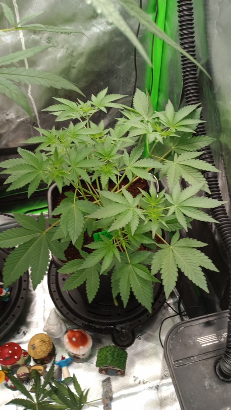 Image #1 from Anonymous