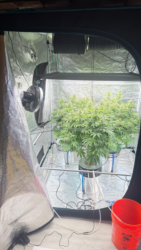 Image #1 from Francis H.