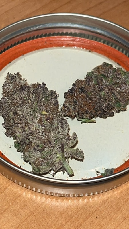 Image #1 from Anonymous