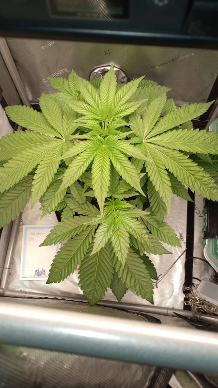 Image #2 from Anonymous
