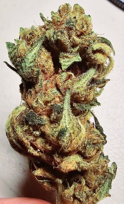 Image #1 from Anonymous