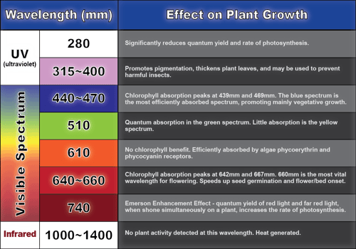 Color Spectrum Effects - Growing Cannabis