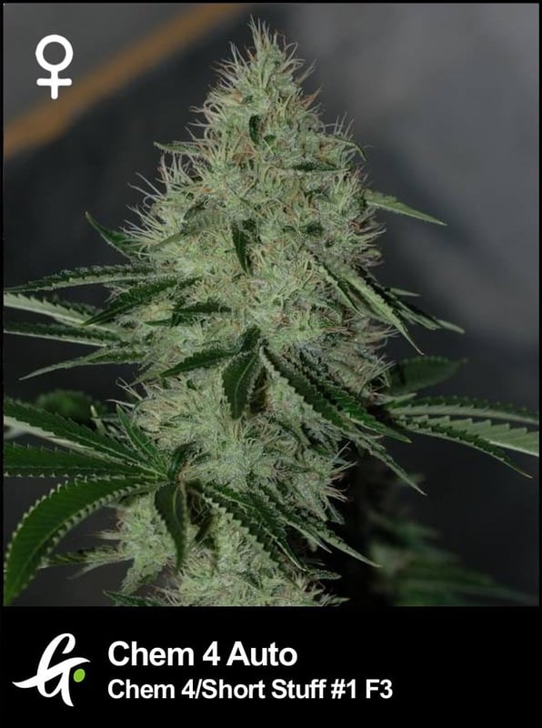Chem 4 Auto