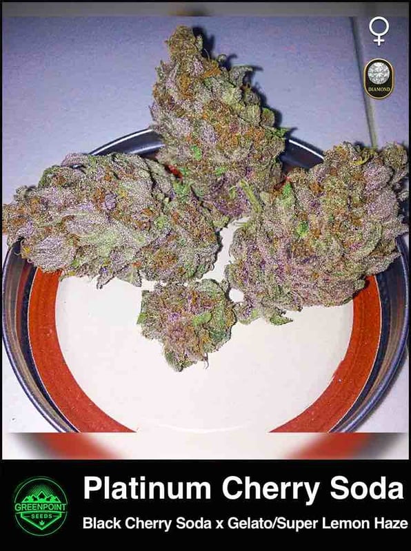 Platinum Cherry Soda