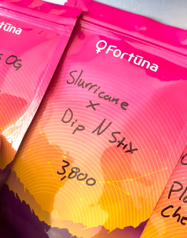 Slurricane × Dip N Stix