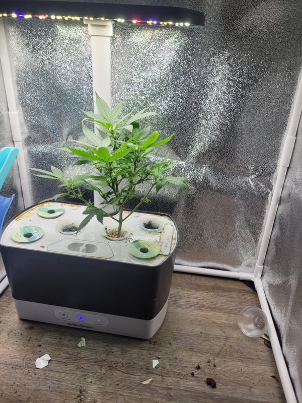 Image #1 from Chris Navarre