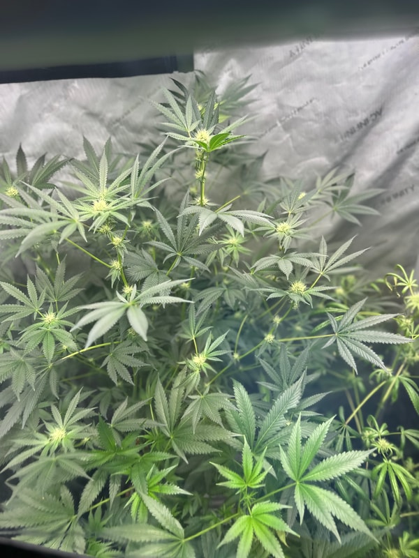 Image #1 from Anonymous