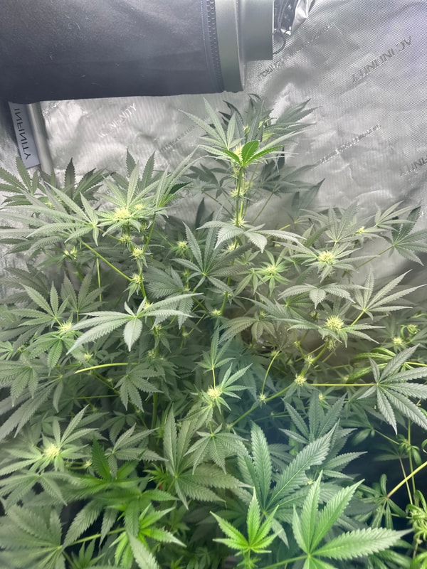 Image #2 from Anonymous