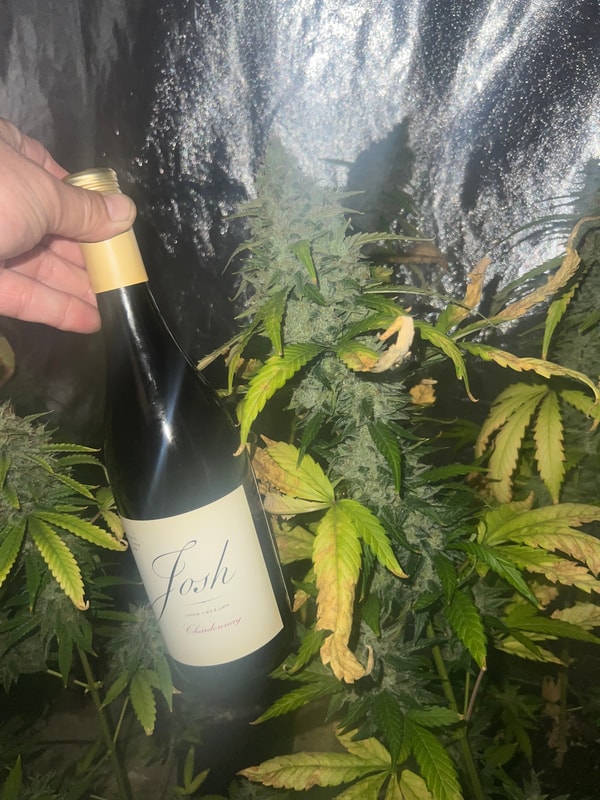 Image #3 from Shane P.