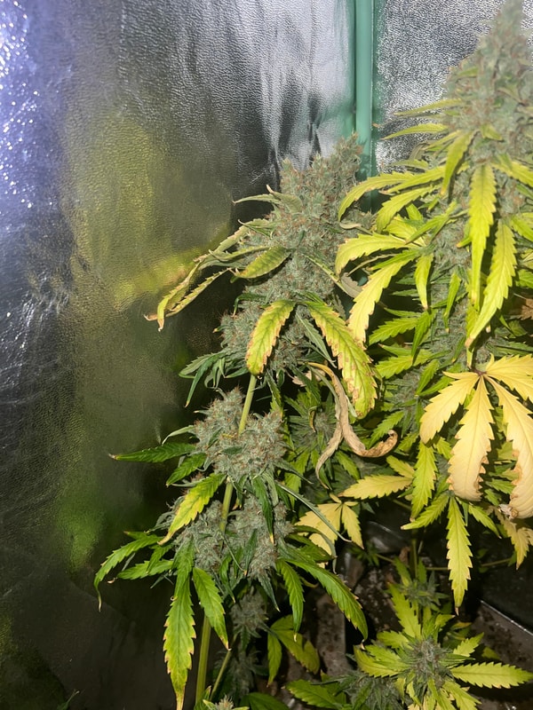 Image #5 from Shane P.