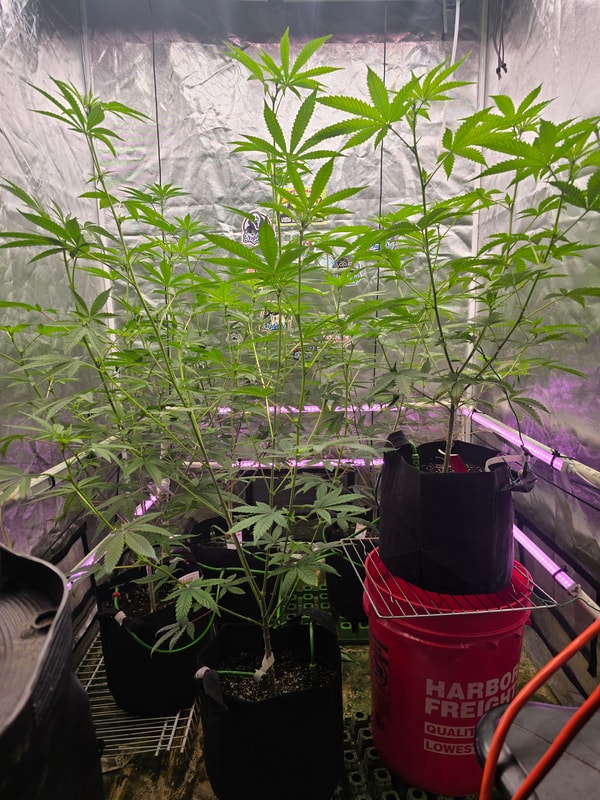 Image #1 from Bryan Fields