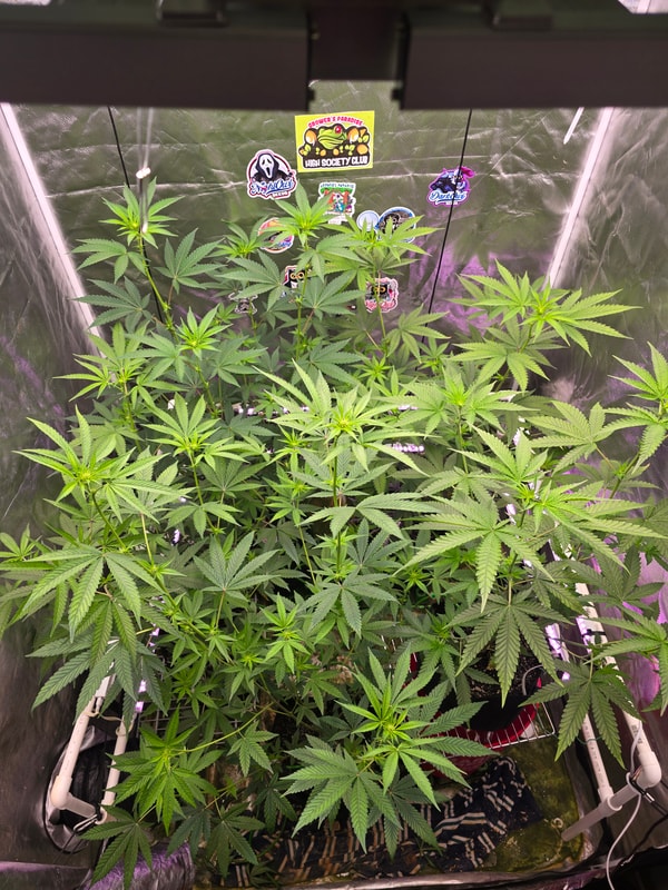 Image #2 from Bryan Fields