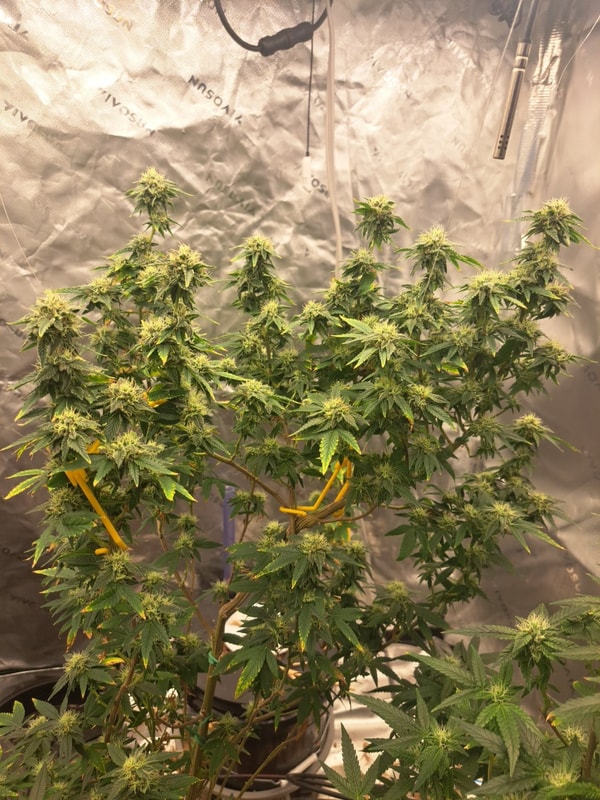 Image #2 from RHEC420