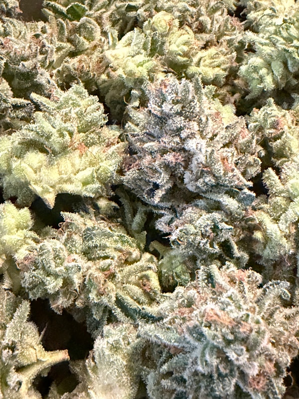 Image #3 from Esq.cultivator