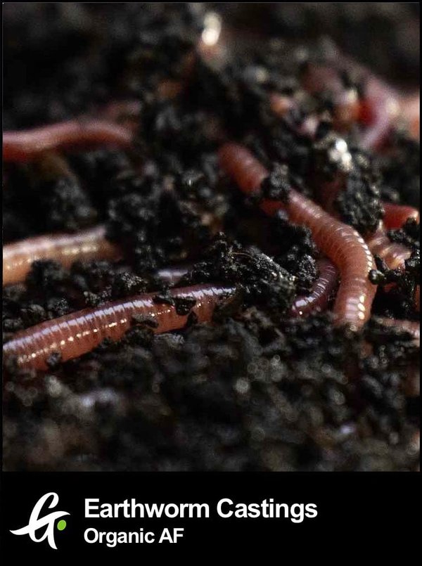 Earthworm Castings for cannabis growing