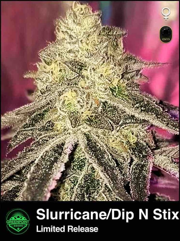 Slurricane × Dip N Stix