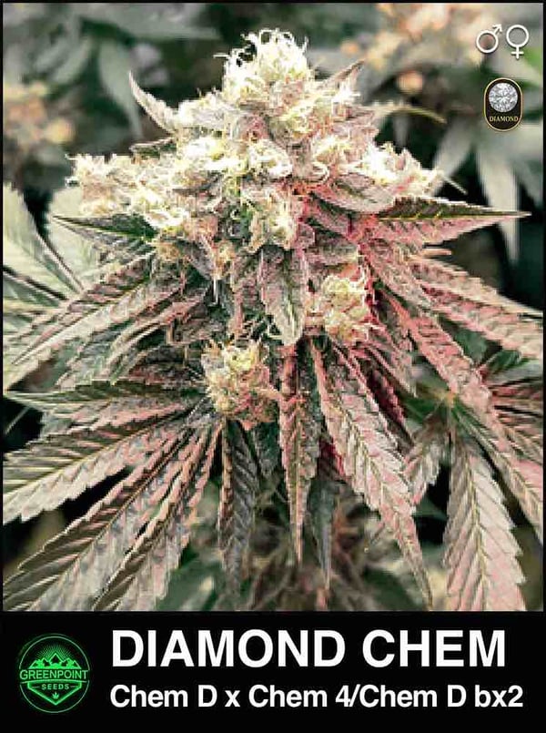 Diamond Chem