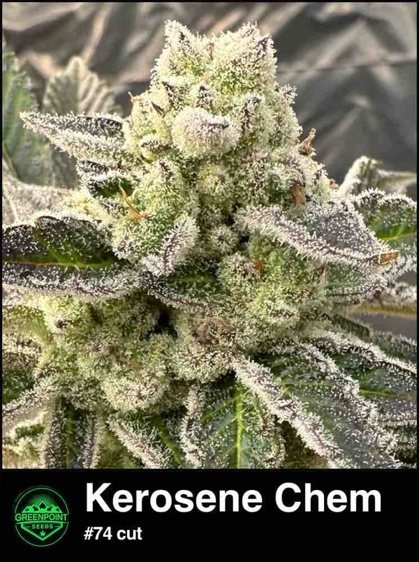 Kerosene Chem