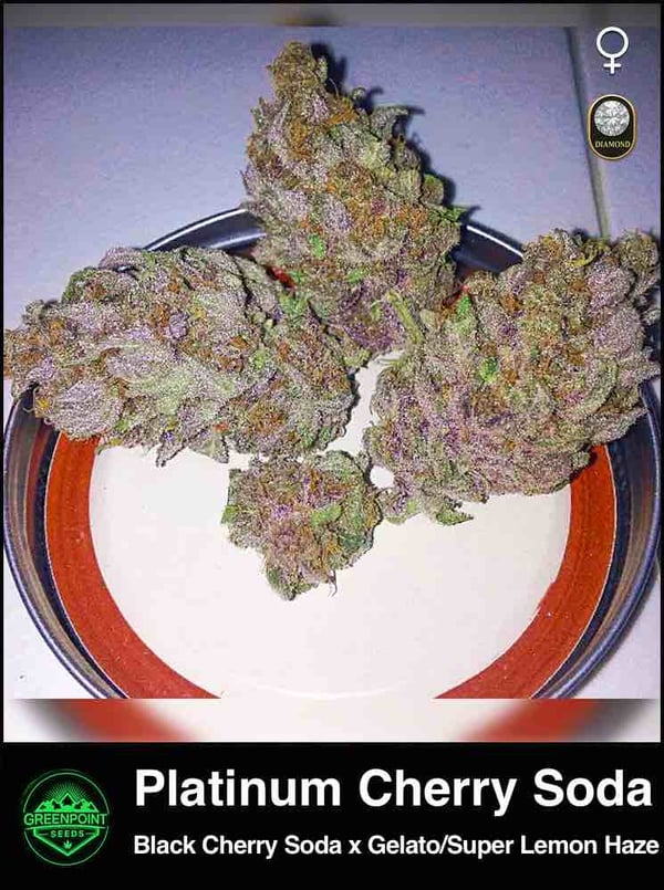 Platinum Cherry Soda