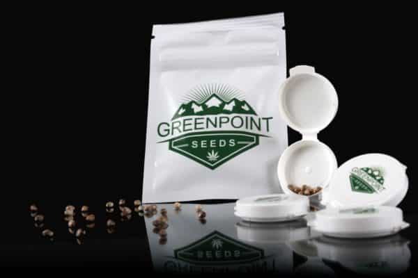 Greenpoint Cannabis Seed Packs