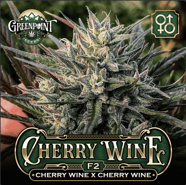 Cherry Wine F2