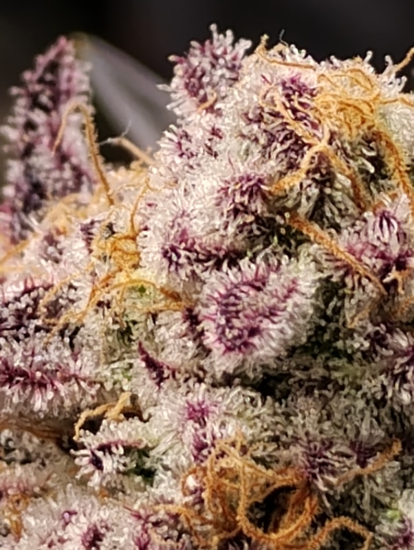 Image #4 from TIM R.