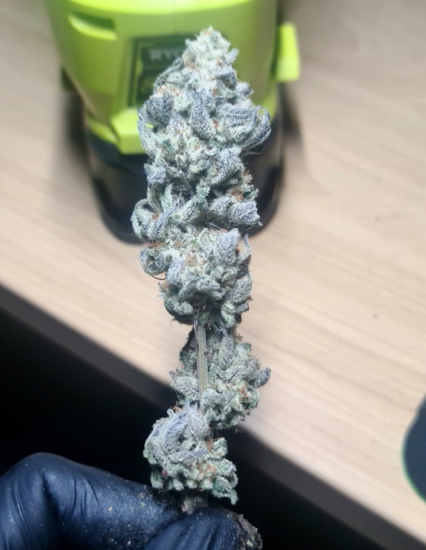 Image #2 from Anonymous