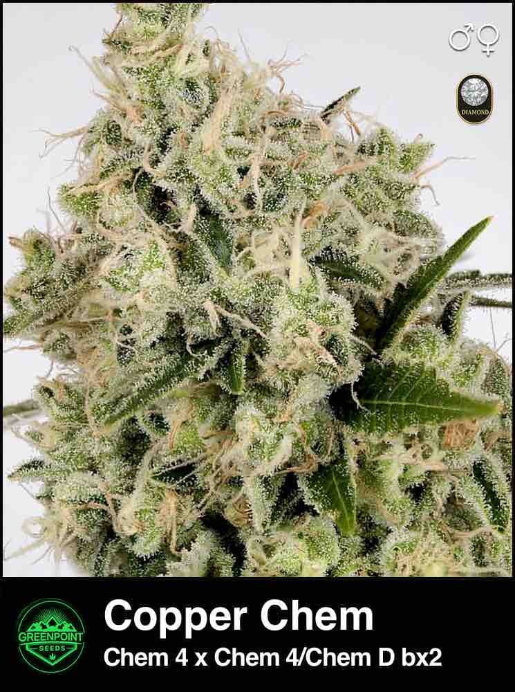 Copper Chem Strain product image