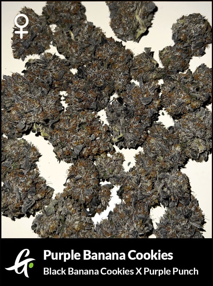 Purple Banana Cookies