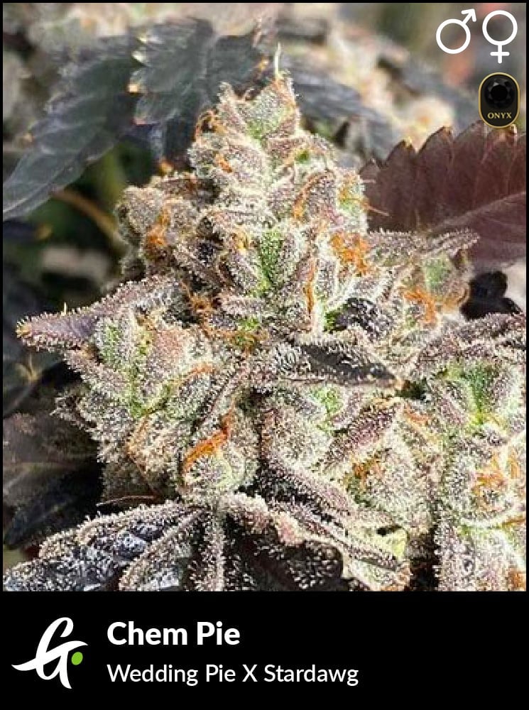 Chem Pie