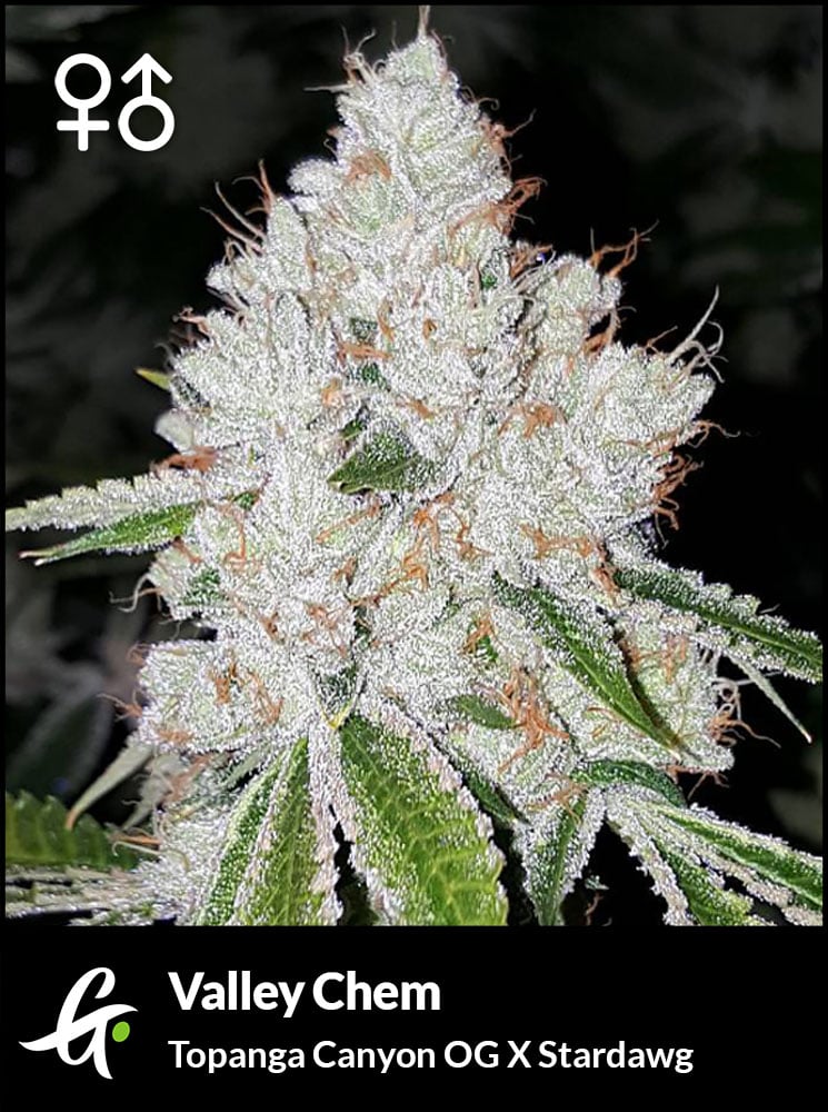 Valley Chem