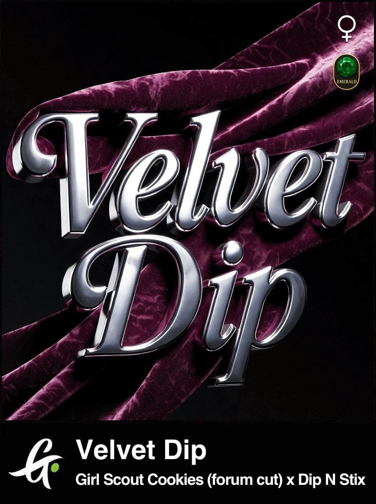 Velvet Dip product photo