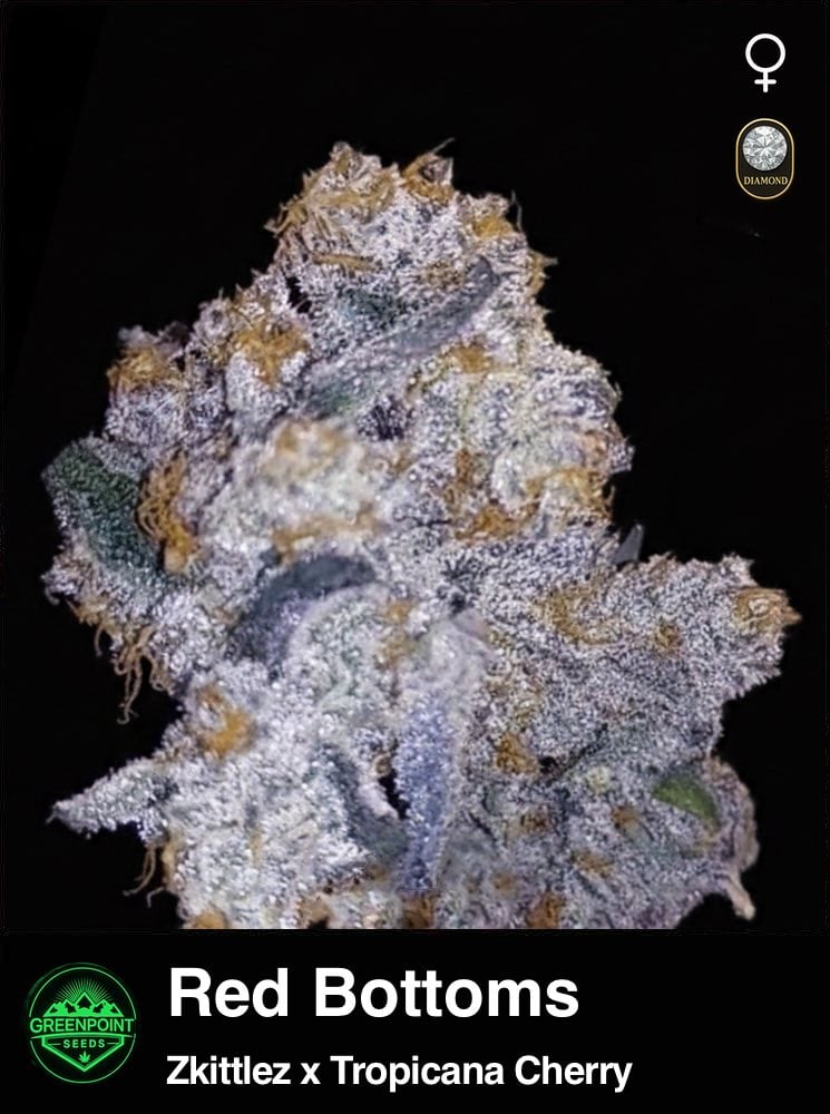 red bottoms seeds