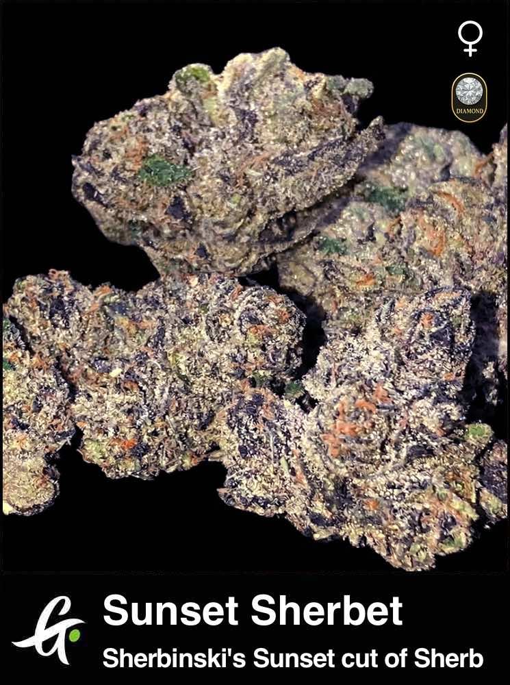 Sunset Sherbet