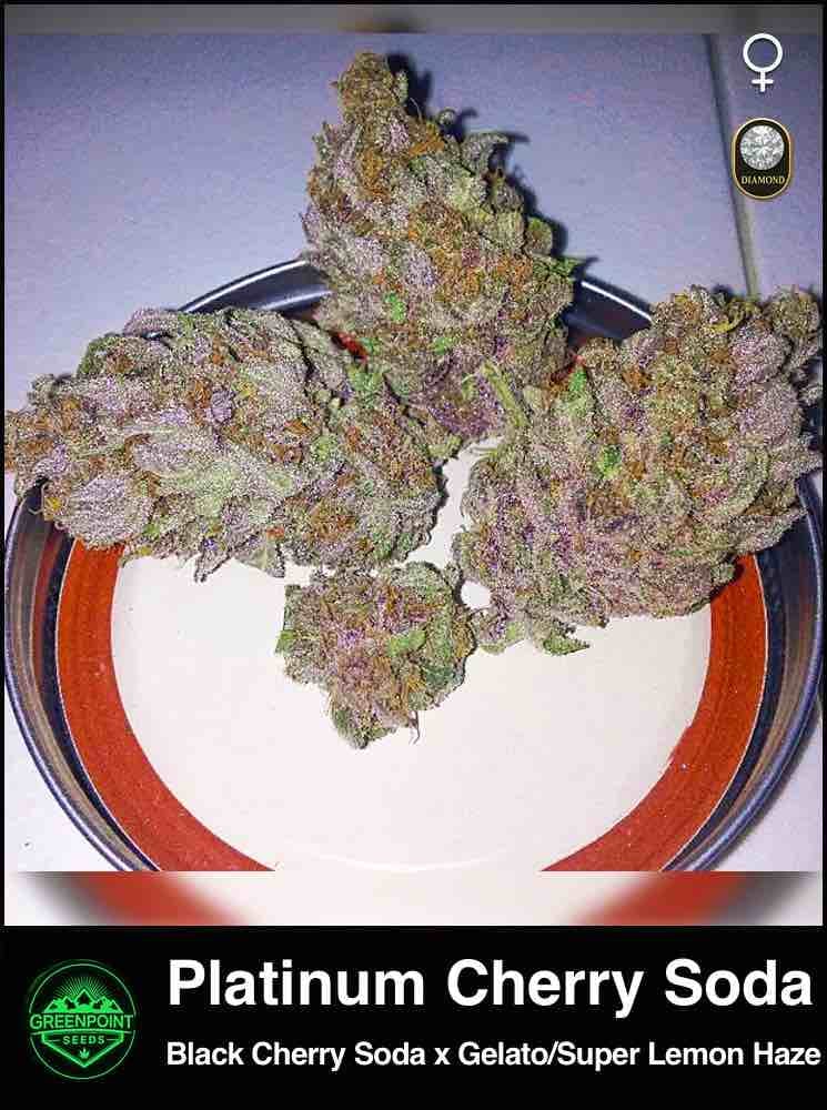 Platinum Cherry Soda