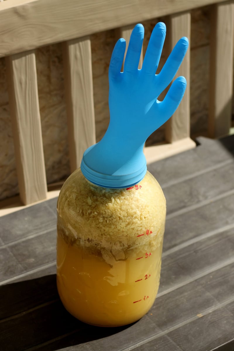 DIY fermented plant food