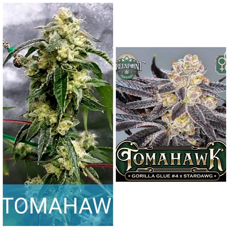 Image #2 from KEGGERS