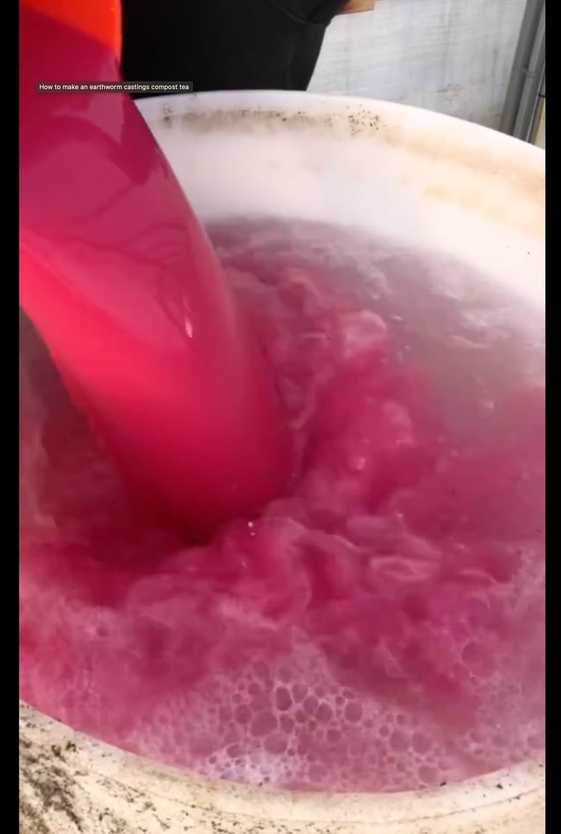 Using beets in compost teas