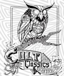 Cult Classic Seeds