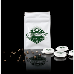 Greenpoint Packaging