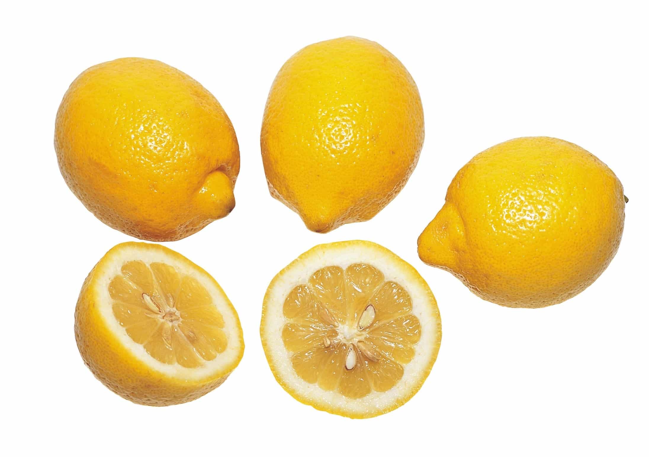 Lemons - Lemon Tree Genetics