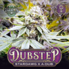 Corey Haim Stardawg x A-Dub Seeds - DubStep Cannabis Seeds - Colorado Seed Bank