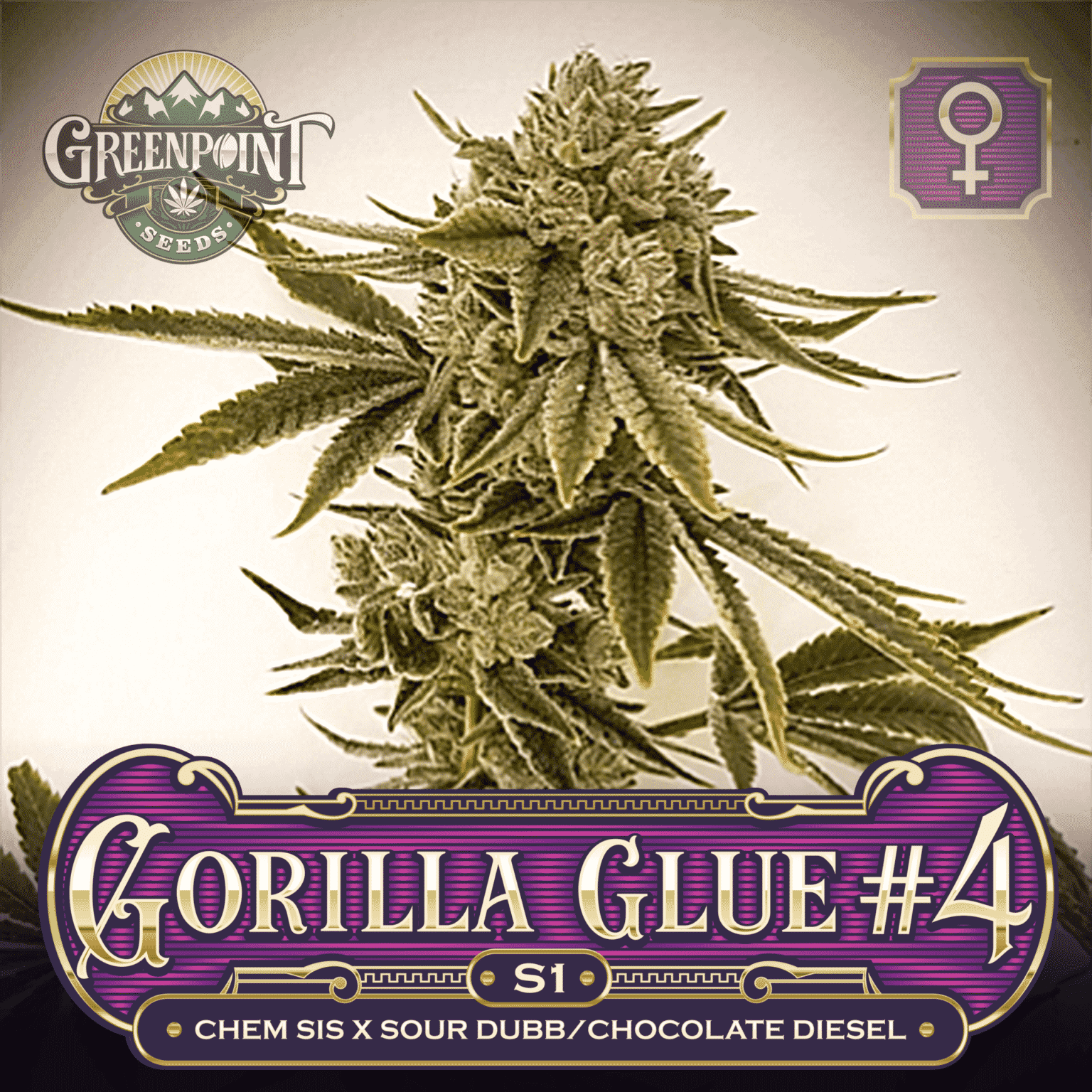 gorilla glue 4 strain effects