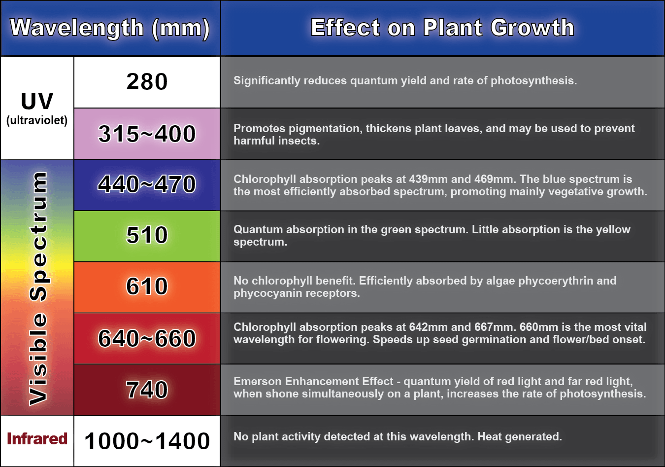 Cannabis Vegetative Cycle Growing Cannabis Greenpoint Seeds