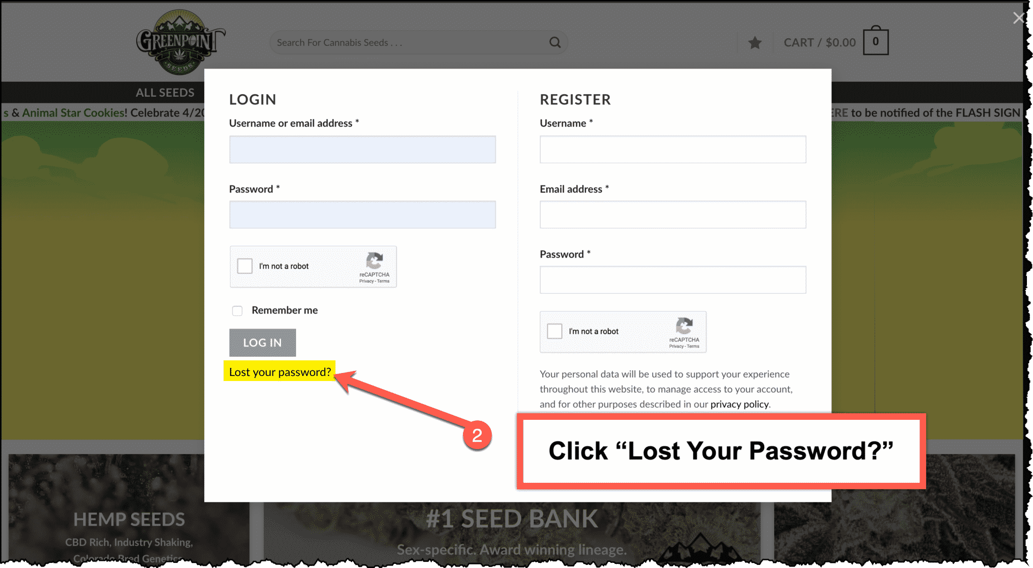 Click "Lost Your Password"
