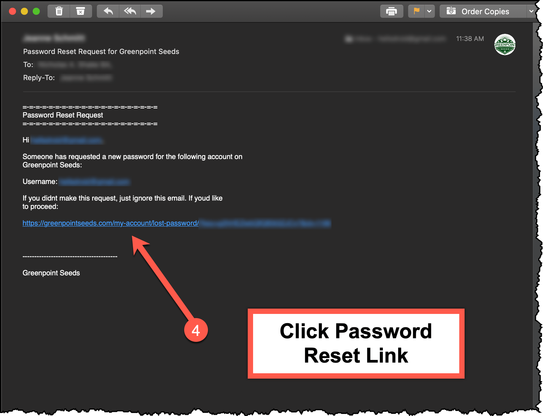 Click Password Reset Email Link
