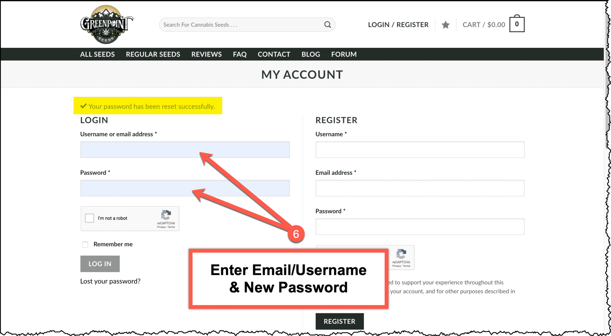 Login With New Password