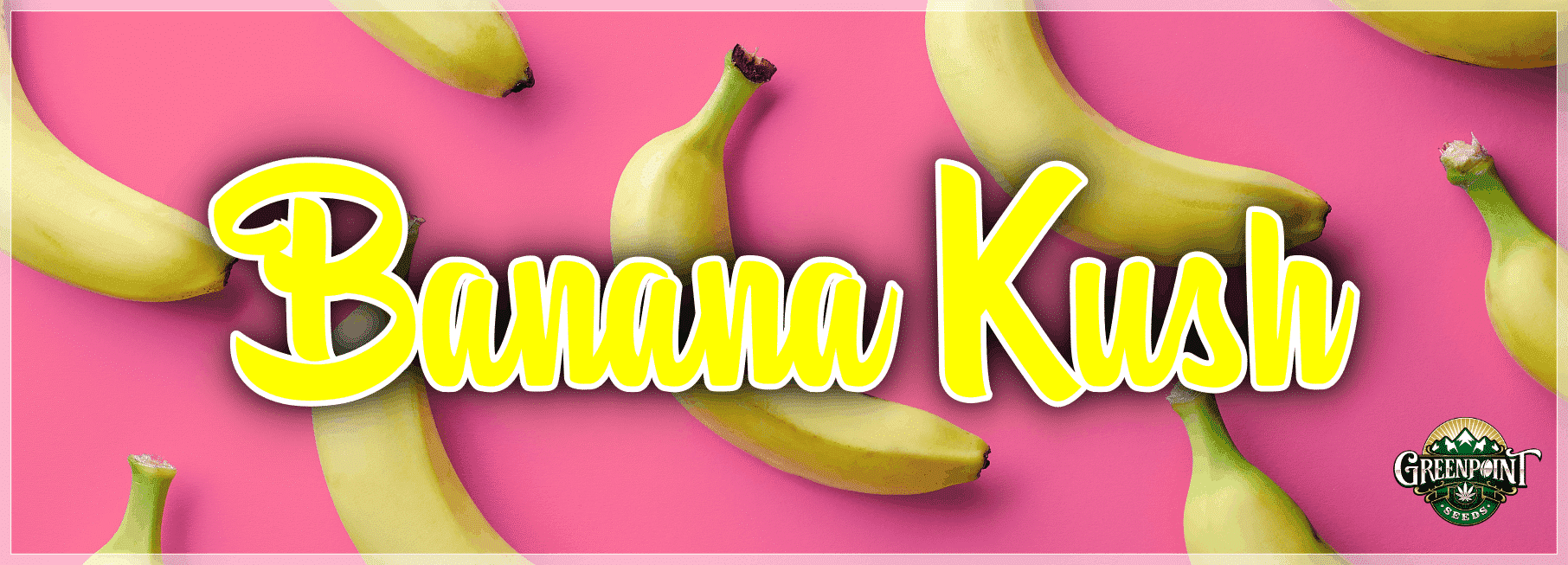Bananimal Cannabis Seeds - Banana Kush x Animal Cookies
