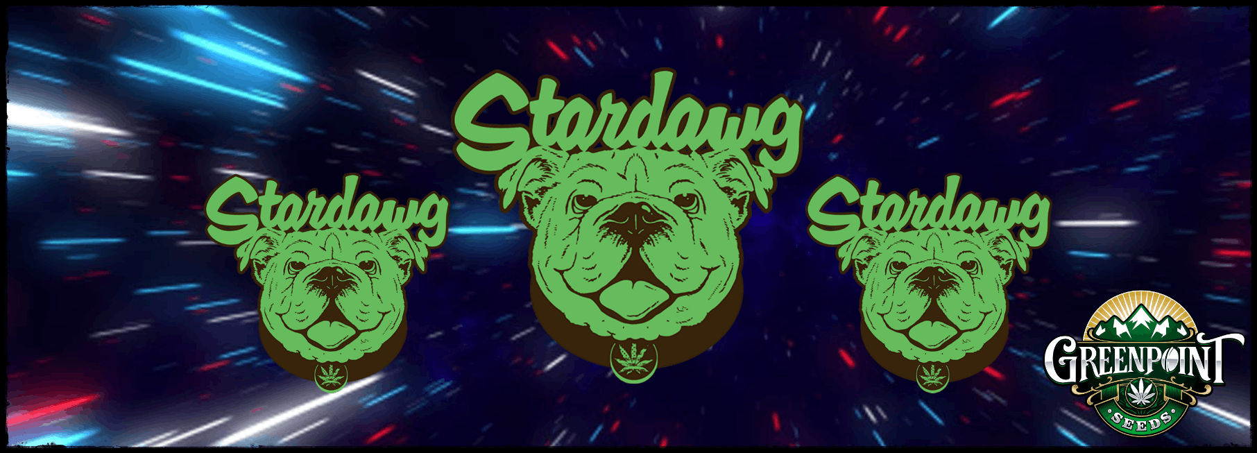Stardawg Cannabis Strain