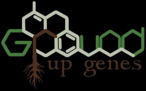 Ground Up Genes